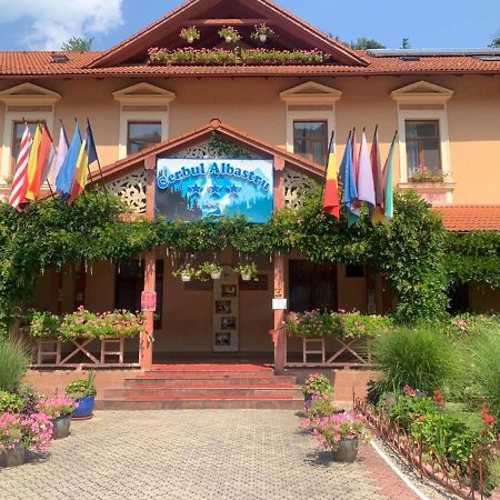 Vila Cerbul Albastru Hotel Moneasa Exterior photo