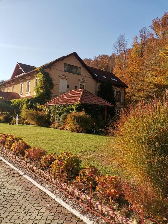 Vila Cerbul Albastru Hotel Moneasa Exterior photo