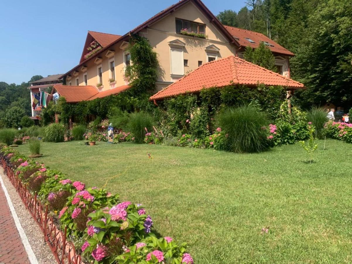 Vila Cerbul Albastru Hotel Moneasa Exterior photo