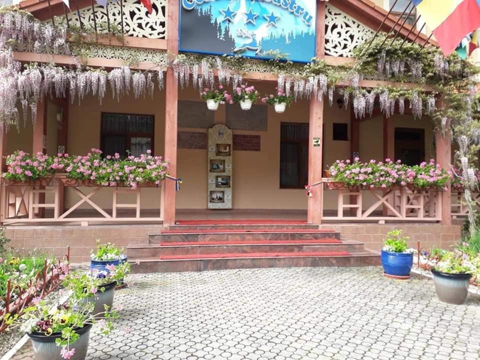 Vila Cerbul Albastru Hotel Moneasa Exterior photo