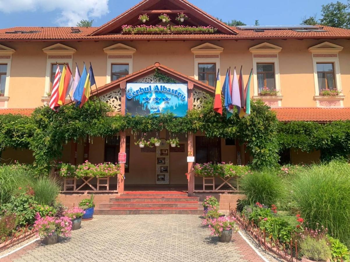 Vila Cerbul Albastru Hotel Moneasa Exterior photo
