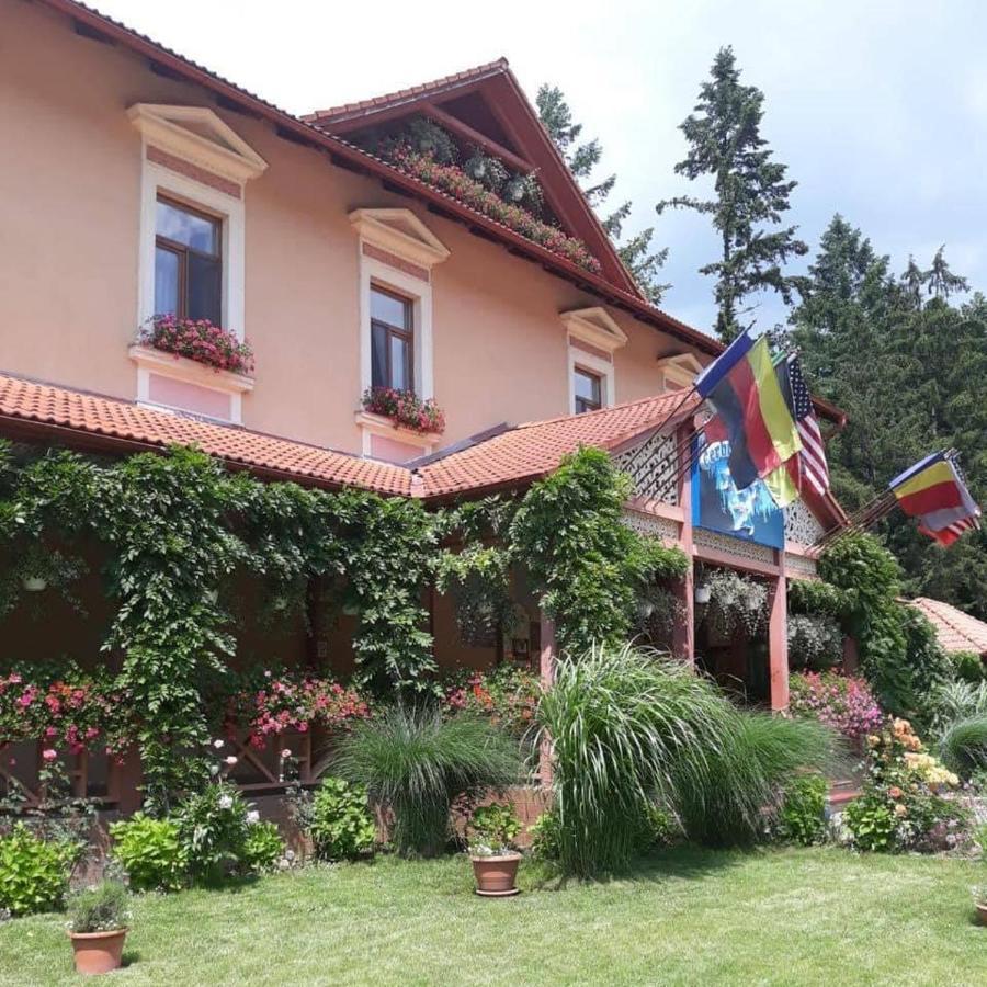 Vila Cerbul Albastru Hotel Moneasa Exterior photo