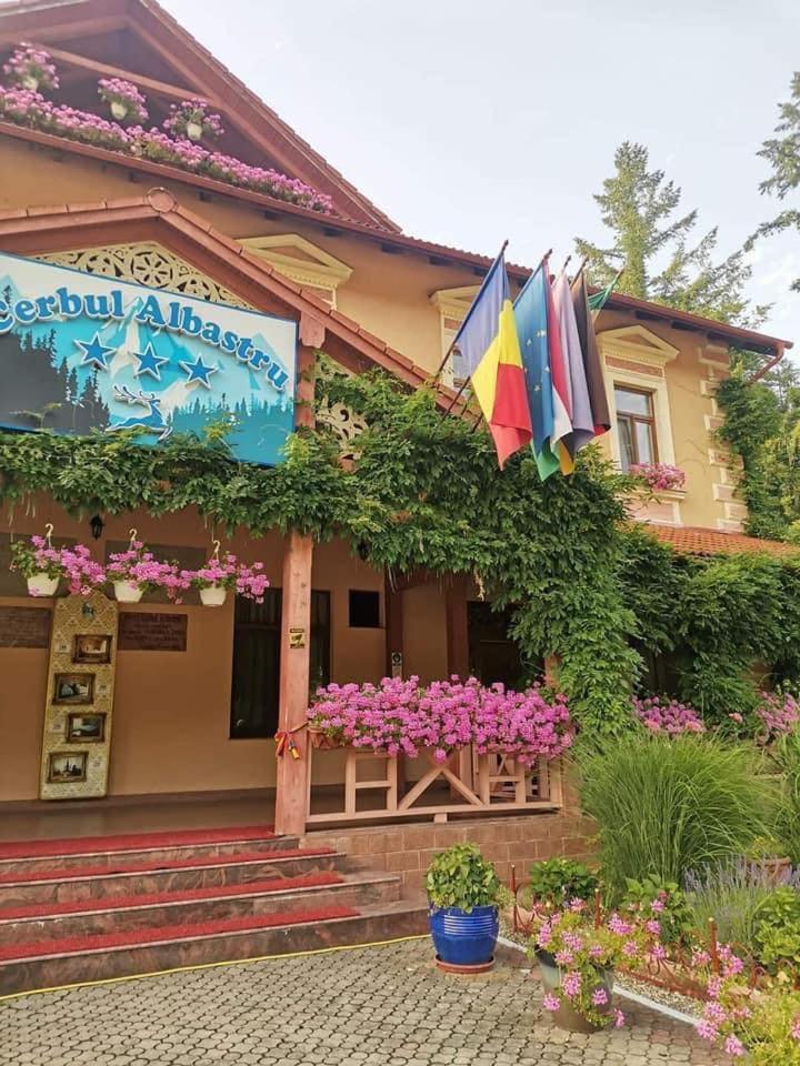 Vila Cerbul Albastru Hotel Moneasa Exterior photo